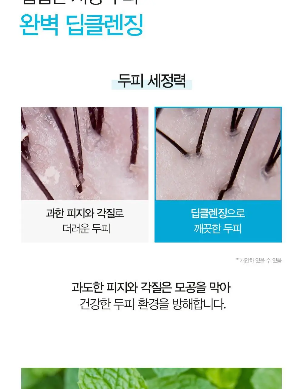 [쿨링감UP/탈모증상완화] 달리프 애플민트 쿨링 샴푸 500ml 상세페이지 19